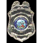 RIVERSIDE CO, CA VOLUNTEER FIREFIGHTER MINI BADGE PIN